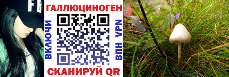 Галлюциногенные грибы ЛСД  Большой Камень 