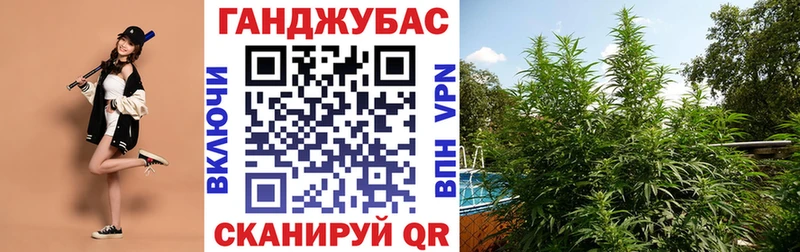 Конопля тримм Большой Камень